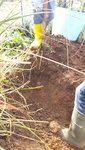 20221003_150441.jpg