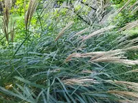 IMG_20221003_142245_1.webp