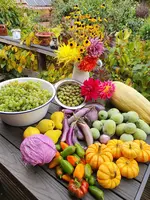 20221003_104054.webp
