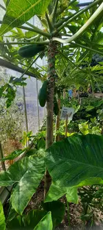 20221002_110824.jpg 20221002_110824.jpg