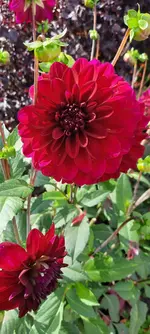 20221002_134548.webp 20221002_134548.webp