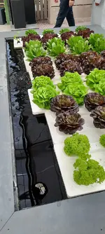 20221002_154831.webp 20221002_154831.webp