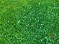 20221004_163954.webp