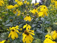 IMG_20221003_142051_1.webp