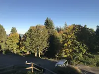 08587E7E-D2BC-4CC2-8E14-C81DA5E62991.webp