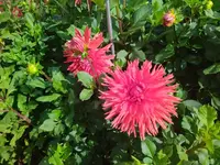 IMG_20221003_145058.webp