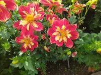 IMG_20221003_145004.webp
