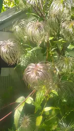 20221005_145538.webp