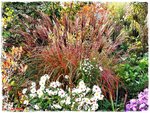 Goldener Oktober f.jpg