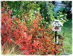 Goldener Oktober j.jpg