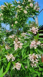 20210710_080204.webp