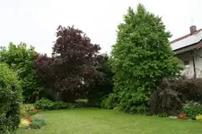 Sallergarten0218.webp