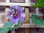 DSCN4373.JPG