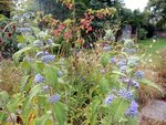 DSCN4374.JPG