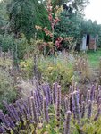 DSCN4390.JPG
