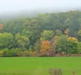 1665142639203 (2).webp