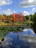 IMG_20221006_123006.webp