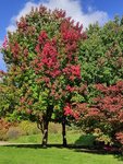 IMG_20221006_123107.jpg