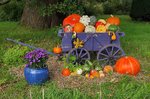 IMG_20221006_130034.jpg