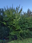 PXL_20221009_072351791.jpg