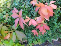IMG_20221009_152649.webp