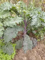 IMG_20221008_144048.webp