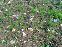 1665324981699 (2).webp