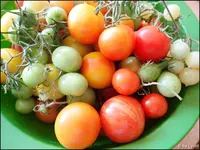 c059.webp