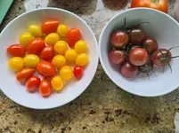 20221010_184202.webp