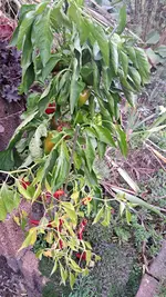 20221010_174430.webp