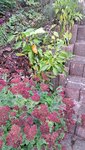 20221010_174411.jpg