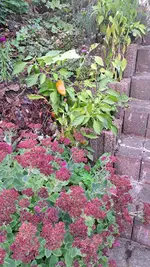 20221010_174411.webp