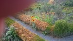 DSC_0082.JPG