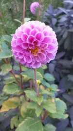 20221010_181357.webp
