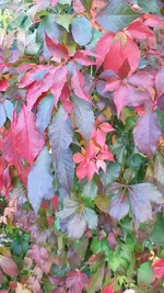 20221010_181429.webp