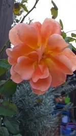 20221010_181804.webp