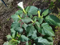 IMG_20221011_144612.webp