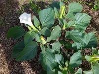IMG_20221011_144629.webp