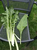 IMG_20221011_170515.webp