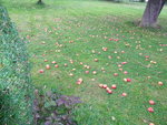 DSC02683.JPG