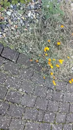 20221011_172822.webp 20221011_172822.webp