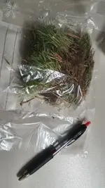 20221011_192517.webp 20221011_192517.webp