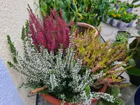 20221012_081917.jpg