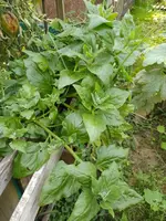 IMG_20221007_124415.webp