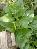 IMG_20221007_124352.webp