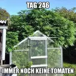 1665579521928.webp