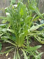 IMG_20221012_124843.webp