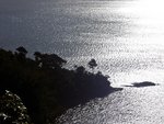 Kia ora.jpg