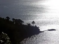 Kia ora.webp