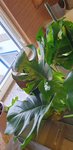 20221013_094920.jpg